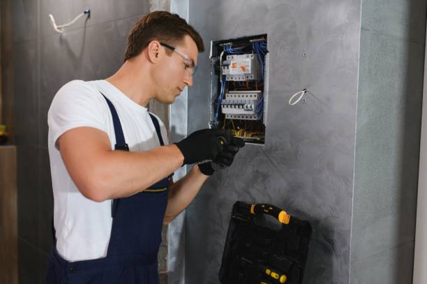Best Local Electrician Companies  in Ronceverte, WV
